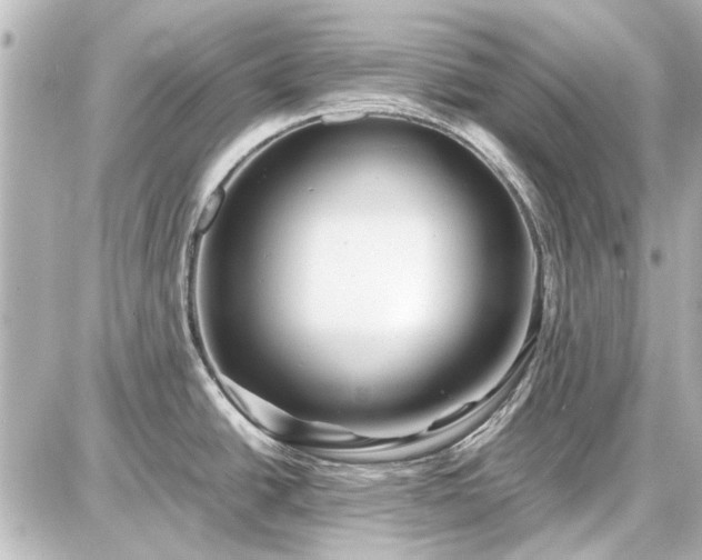 X0000086961438200704231439