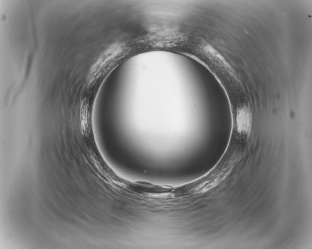 X0000086961444200704231439