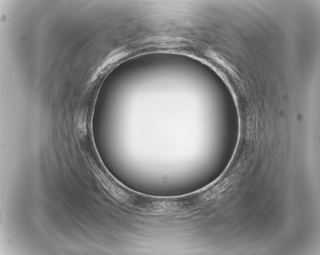 X0000086961451200704231438