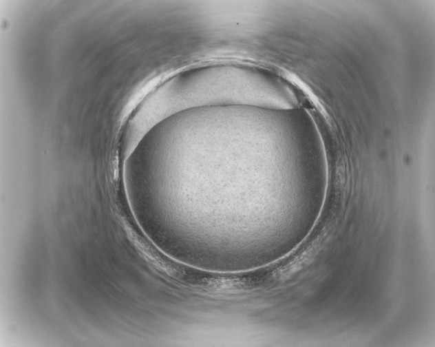 X0000086961461200704231438