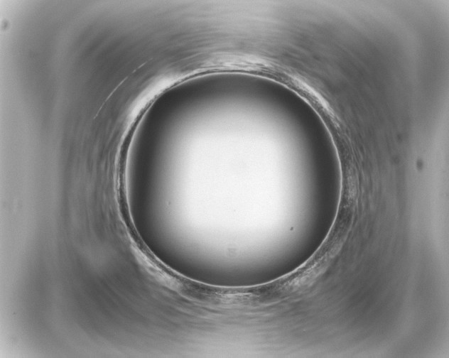 X0000086961471200704231438