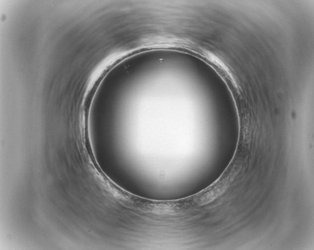 X0000086961472200704231438