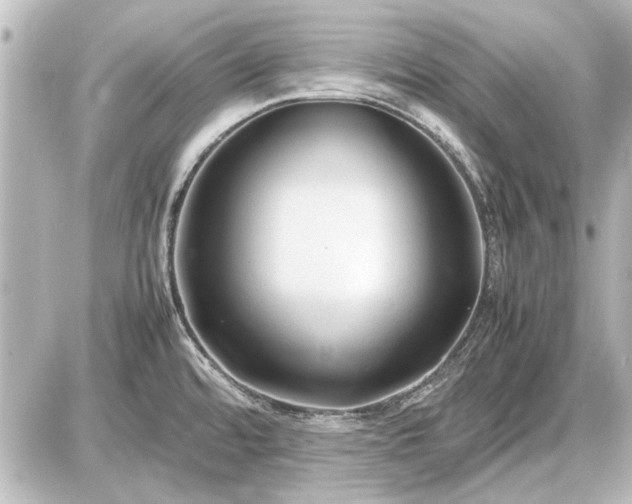 X0000086961480200704231438
