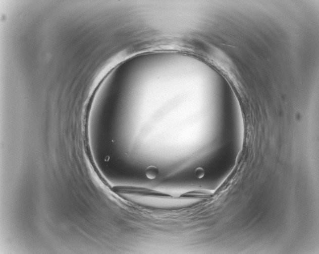 X0000086961483200704231438