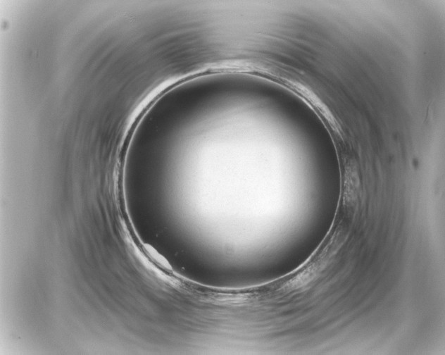 X0000086961484200704231438