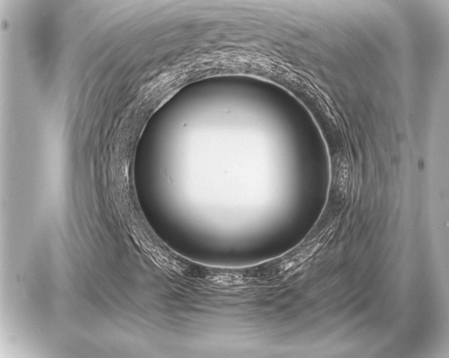 X0000086961489200704231437