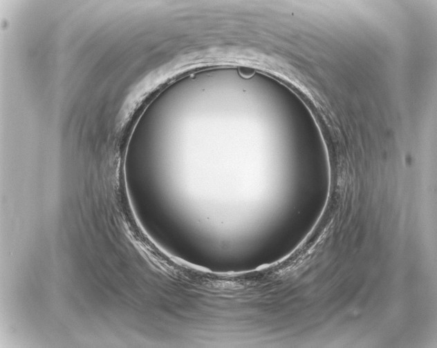 X0000086961507200704231437
