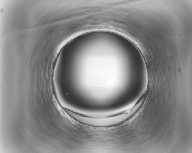X0000086961534200704231438