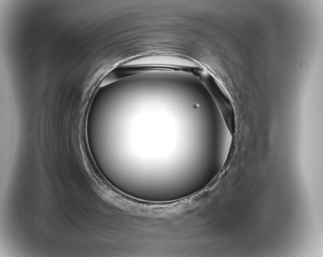X0000086960001200704301247