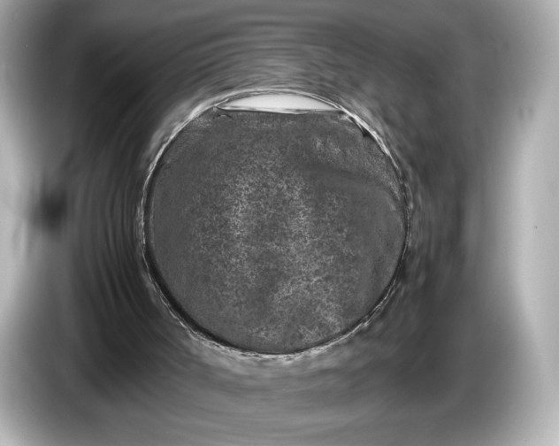 X0000086960002200704301247