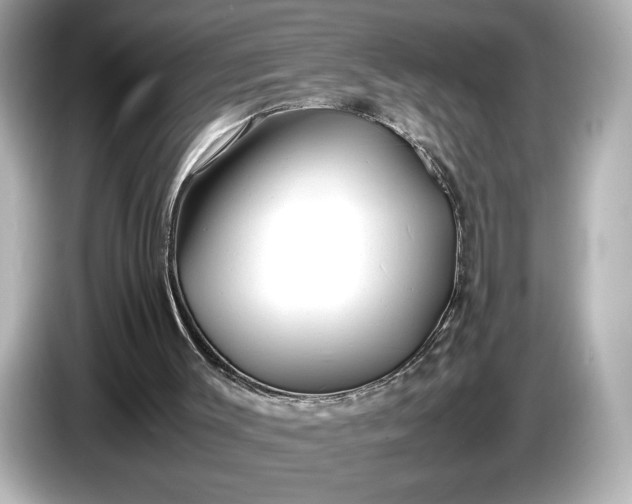 X0000086960003200704301247