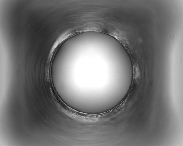 X0000086960004200704301247