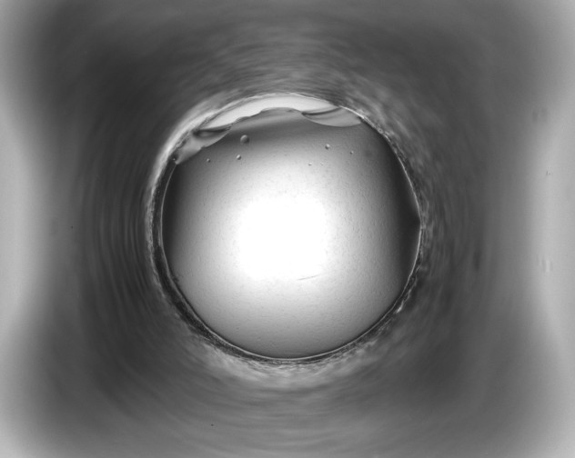 X0000086960006200704301247