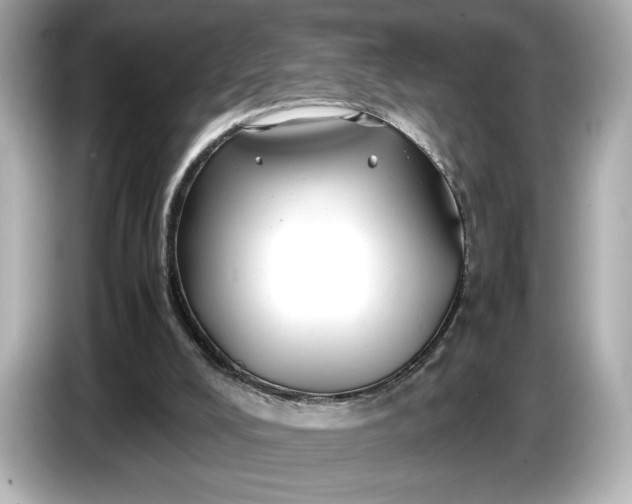 X0000086960008200704301247
