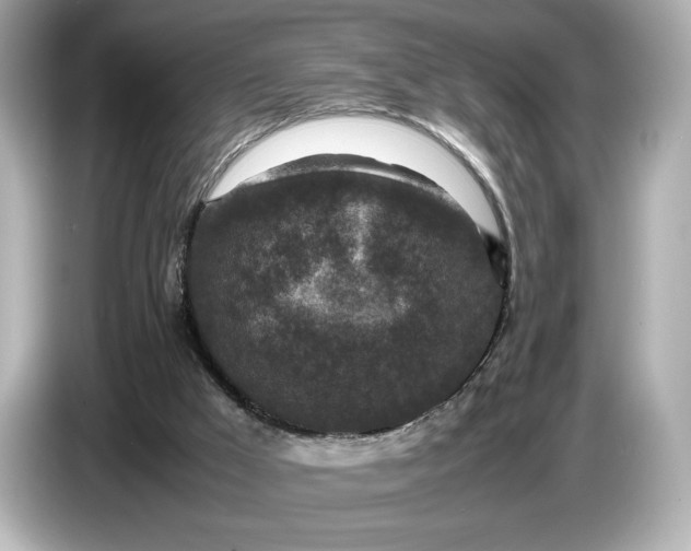 X0000086960009200704301247