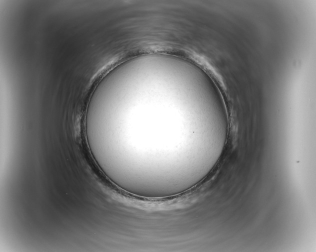 X0000086960010200704301247