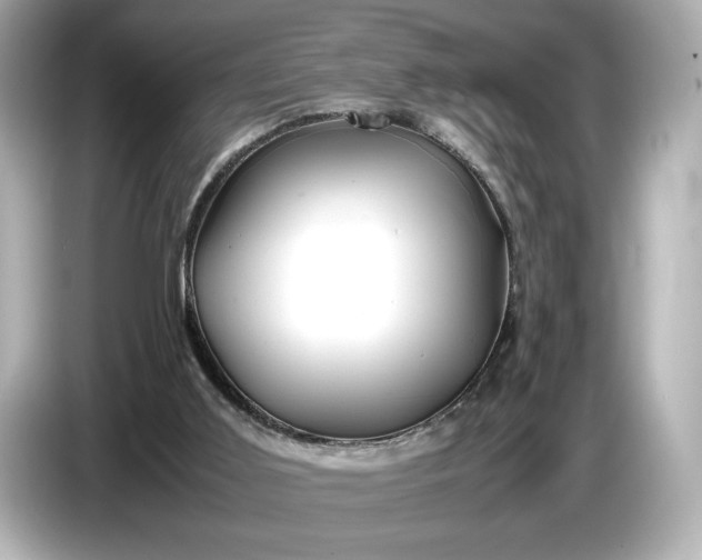 X0000086960011200704301247