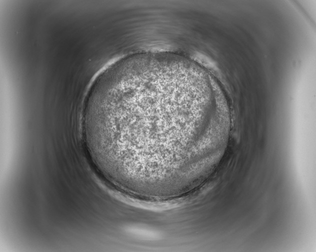 X0000086960012200704301247