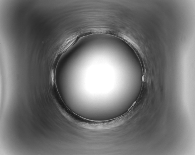 X0000086960013200704301247