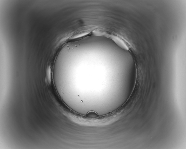 X0000086960014200704301247
