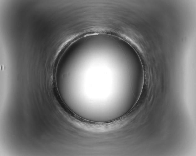 X0000086960015200704301247