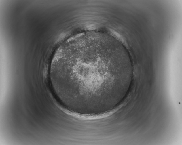 X0000086960018200704301247