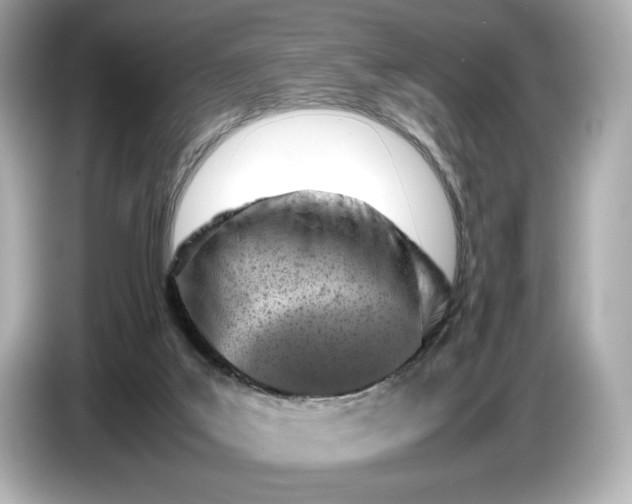 X0000086960019200704301246