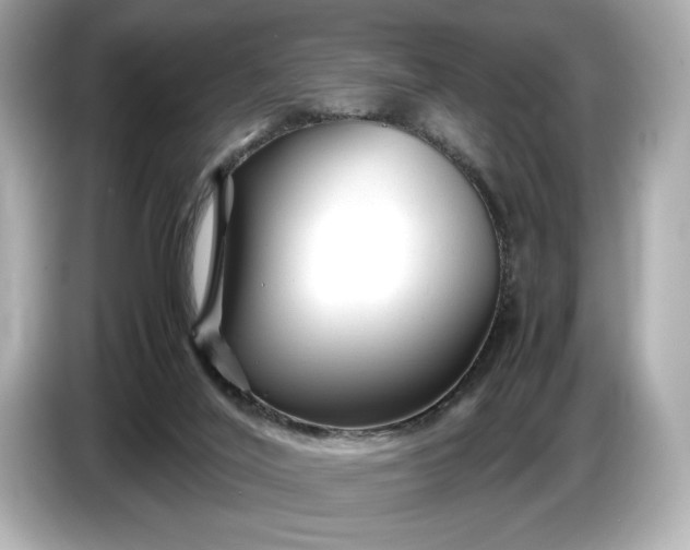X0000086960020200704301246