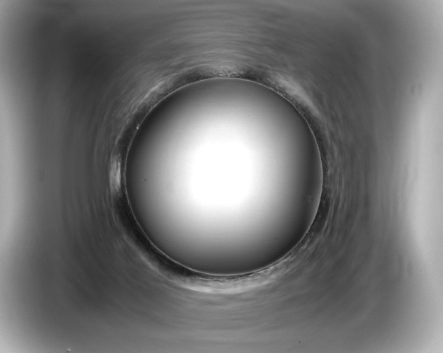 X0000086960021200704301246