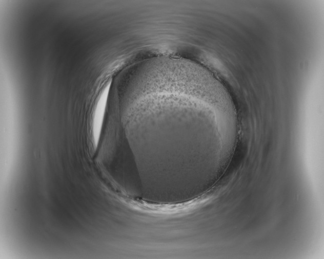 X0000086960023200704301246