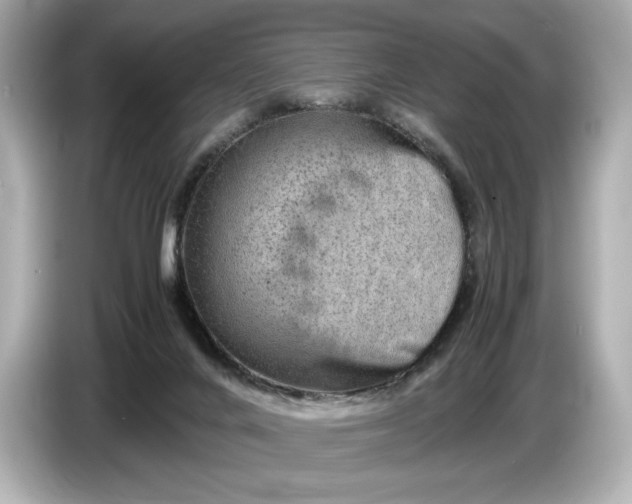 X0000086960024200704301246