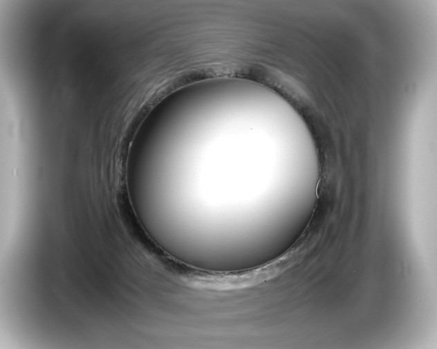 X0000086960025200704301246