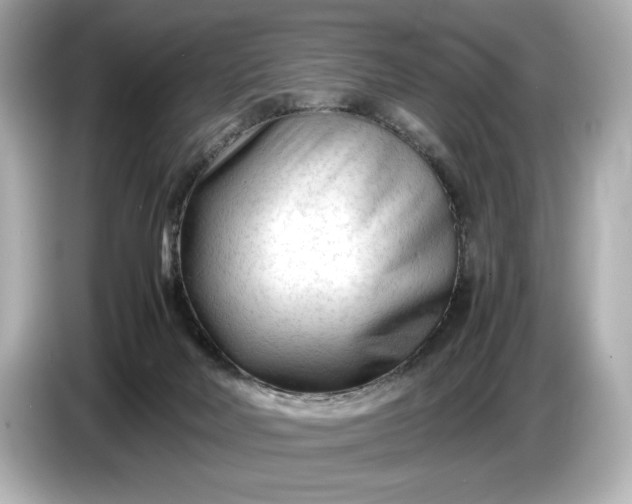 X0000086960026200704301246