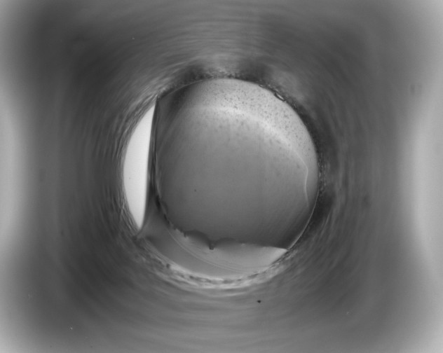 X0000086960027200704301246