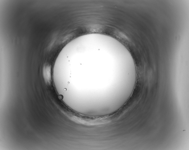 X0000086960028200704301246