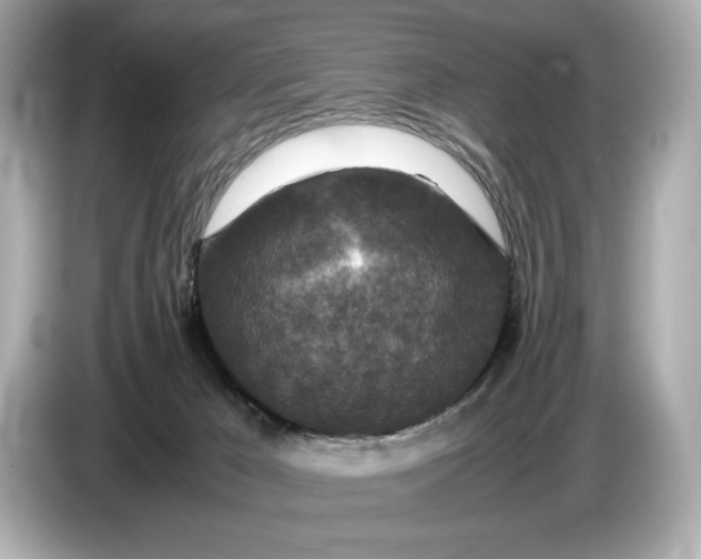 X0000086960029200704301246