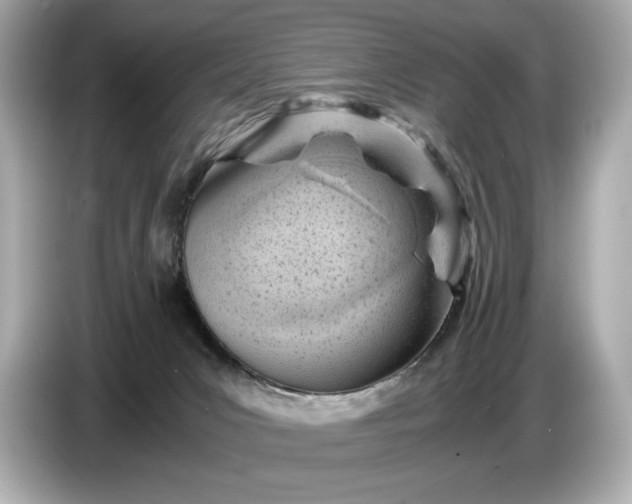 X0000086960031200704301246