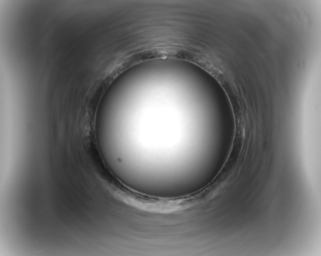 X0000086960032200704301246
