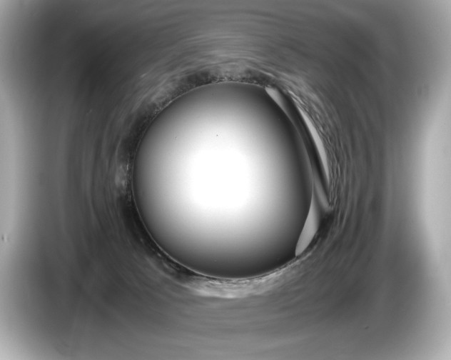 X0000086960033200704301246