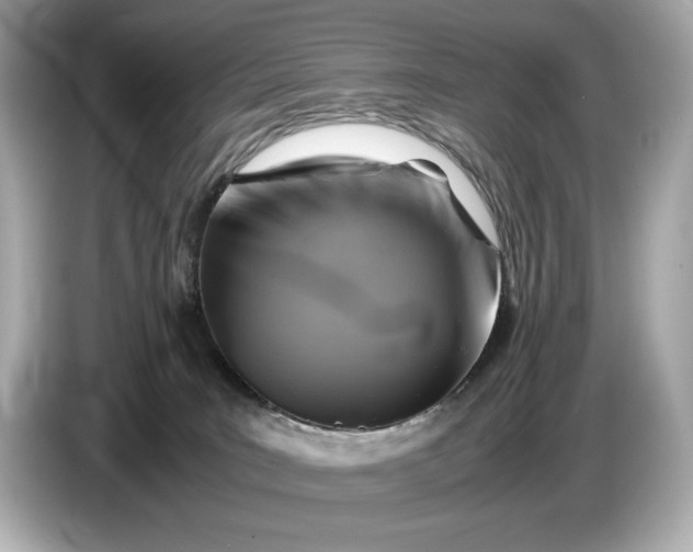 X0000086960035200704301246