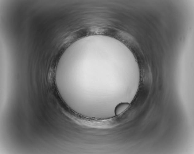 X0000086960036200704301246