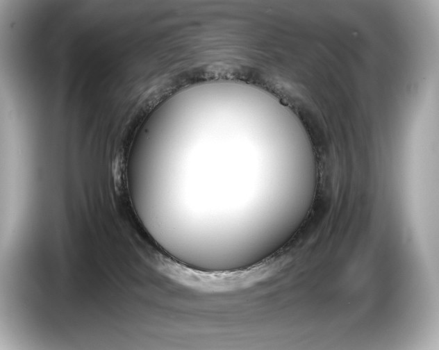 X0000086960038200704301246