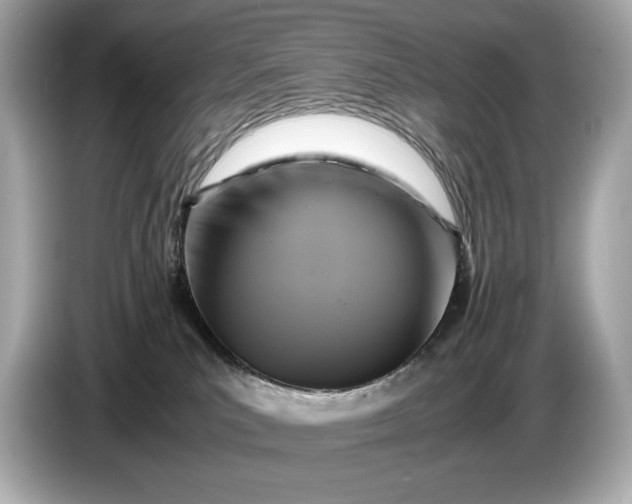 X0000086960039200704301246