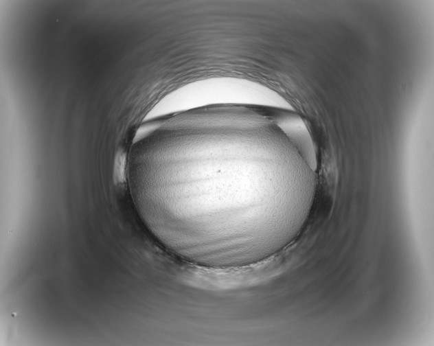 X0000086960041200704301246