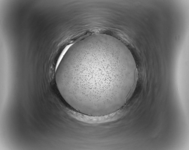 X0000086960043200704301246