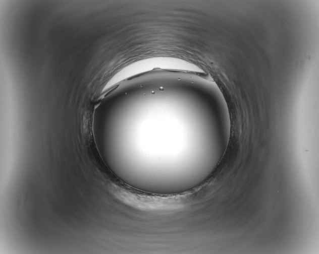 X0000086960044200704301246