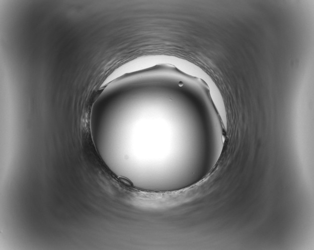 X0000086960045200704301246