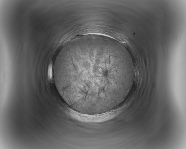 X0000086960046200704301246