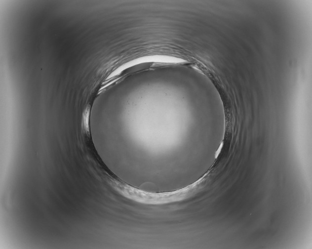 X0000086960047200704301246
