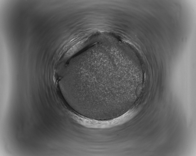 X0000086960048200704301246